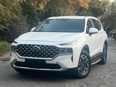 Hyundai Santa Fe, 2022 — сүрөт 1