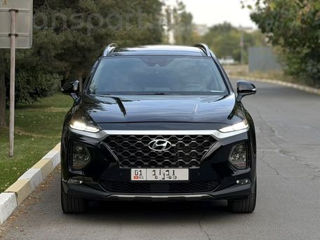 Hyundai Santa Fe, 2019 — фото 3