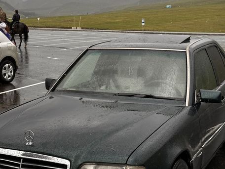 Mercedes-Benz W124, 1995 — фото 6