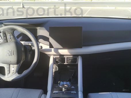 BYD Yuan Up, 2024 — photo 8