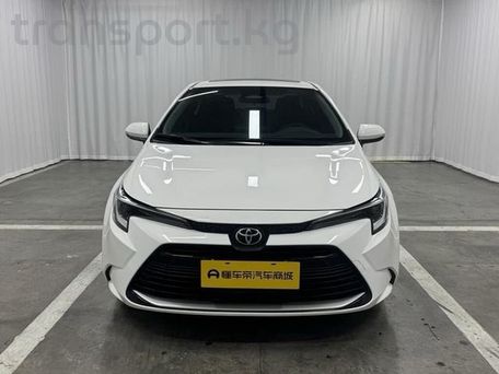 Toyota Levin, 2024
