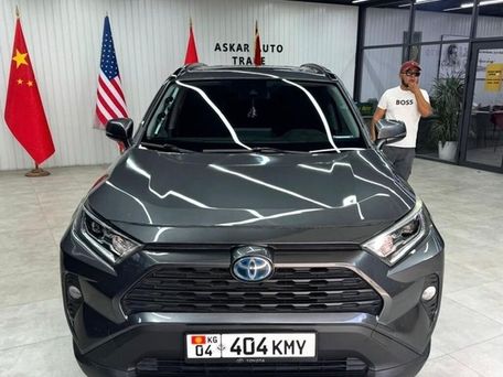 Toyota RAV4, 2019 — 照片 5