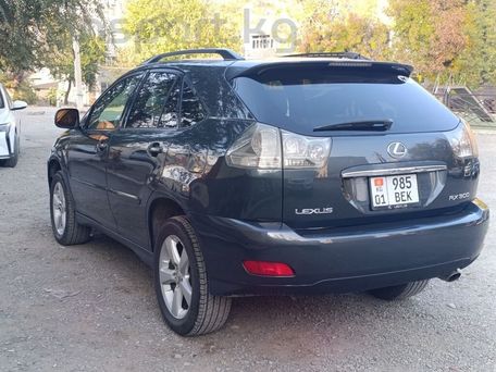 Lexus RX, 2004 — 照片 7