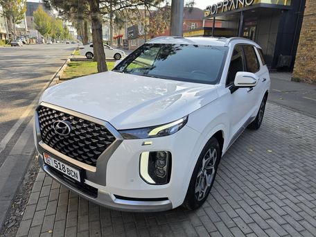 Hyundai Palisade, 2020 — сүрөт 8