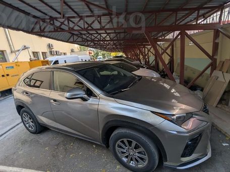 Lexus NX, 2017 — photo 2