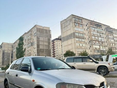 Nissan Almera, 2002 — фото 1