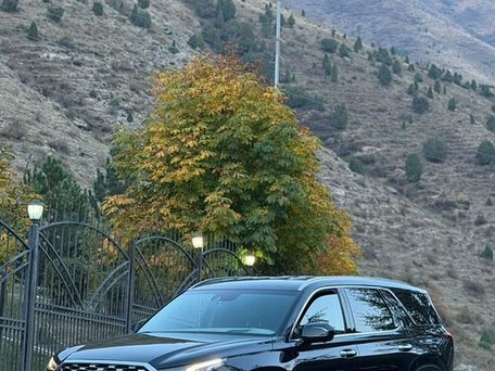 Hyundai Palisade, 2019 — сүрөт 2