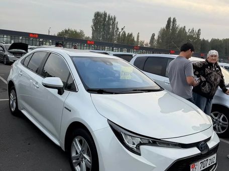 Toyota Levin, 2020 — сүрөт 1