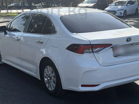 Toyota Corolla, 2023 — сүрөт 2