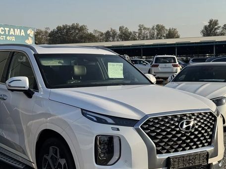 Hyundai Palisade, 2020 — photo 3