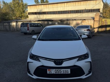 Toyota Corolla, 2019 — photo 2