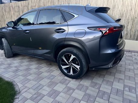 Lexus NX, 2021 — фото 4