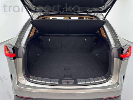 Lexus NX, 2022 — фото 11