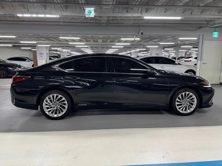 Lexus ES, 2020 — сүрөт 2