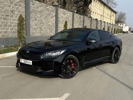Kia Stinger, 2019 — photo 13