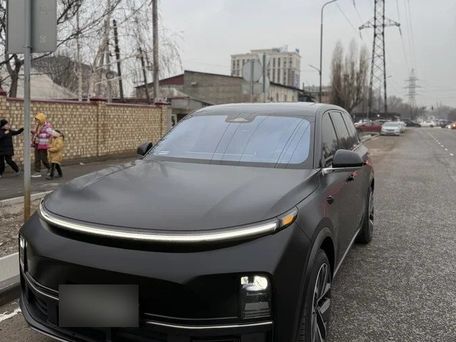 Li Auto (Lixiang) L9, 2024