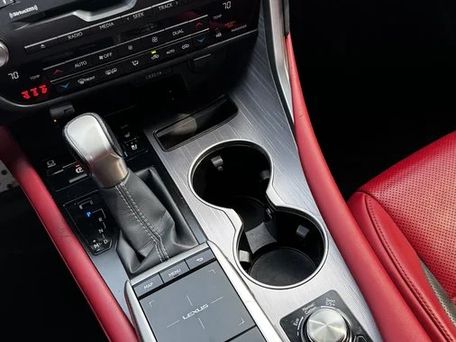 Lexus RX, 2022 — фото 10