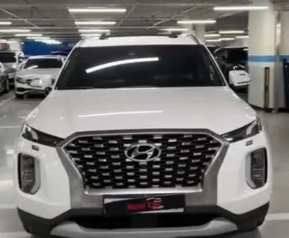 Hyundai Palisade, 2019