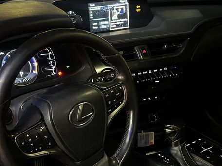 Lexus UX, 2018 — фото 8