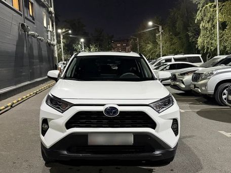 Toyota RAV4, 2019 — фото 3