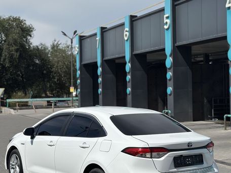 Toyota Corolla, 2021 — 照片 7