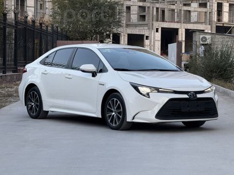 Toyota Corolla, 2023 — сүрөт 3