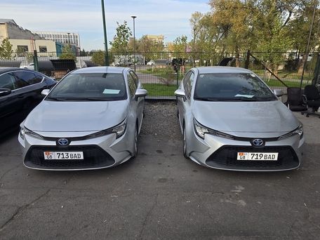Toyota Levin, 2020 — сүрөт 1