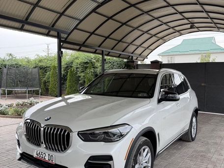 BMW X5, 2023 — фото 1