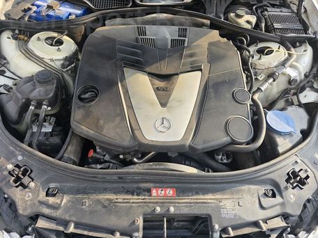 Mercedes-Benz S-Класс, 2006 — 照片 12