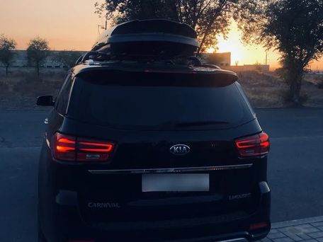 Kia Carnival, 2018 — фото 4
