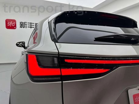 Lexus NX, 2022 — фото 15