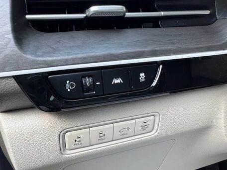 Kia Carnival, 2020 — фото 9