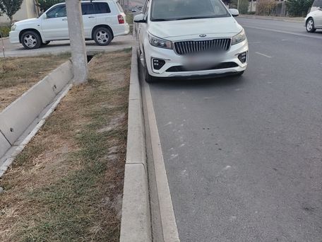 Kia Carnival, 2019