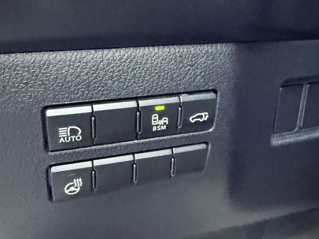 Lexus NX, 2020 — фото 18