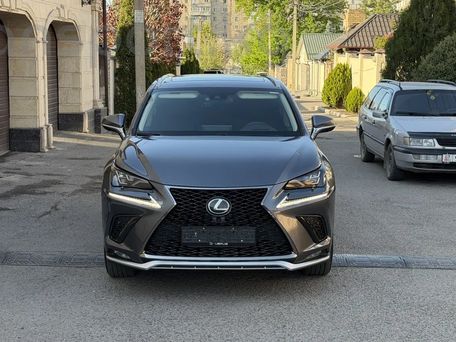 Lexus NX, 2019 — сүрөт 1