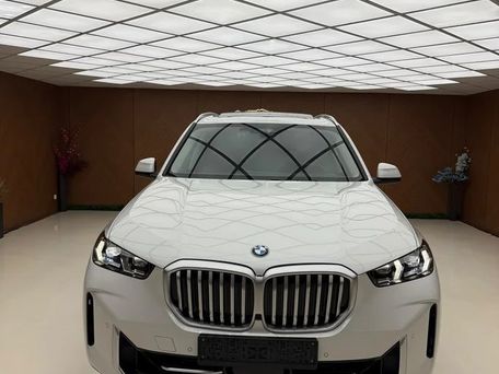 BMW X5, 2024 — фото 1