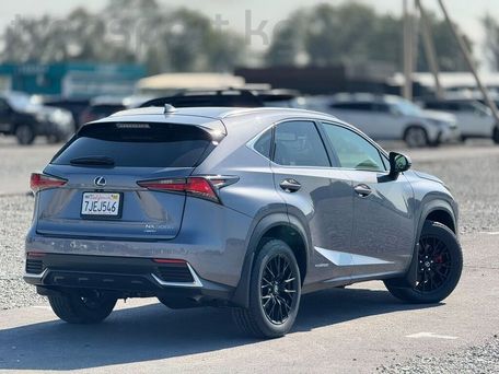 Lexus NX, 2019 — фото 3