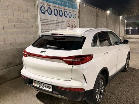 Weltmeister EX5, 2020 — сүрөт 3