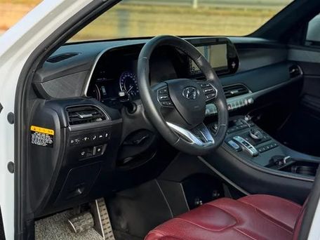 Hyundai Palisade, 2020 — photo 9