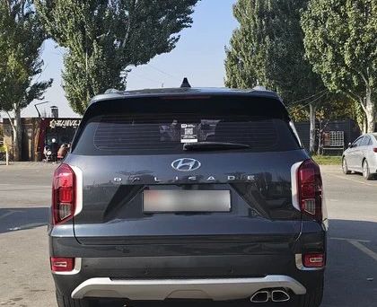 Hyundai Palisade, 2020 — 照片 5