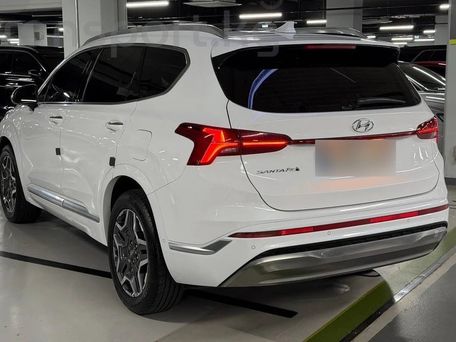 Hyundai Santa Fe, 2023 — фото 3