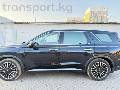 Hyundai Palisade, 2020 — photo 11