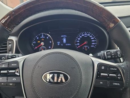 Kia Sorento, 2019 — фото 11