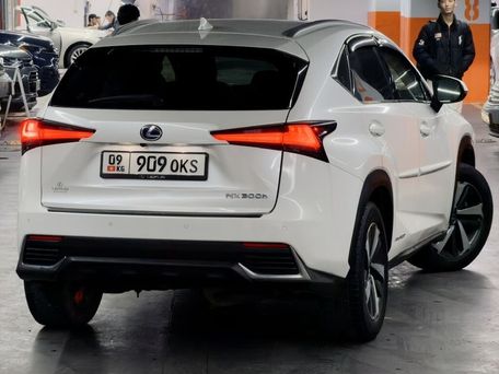 Lexus NX, 2020 — сүрөт 14