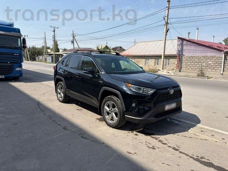 Toyota RAV4, 2021
