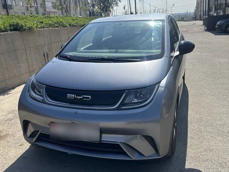 BYD Dolphin, 2023