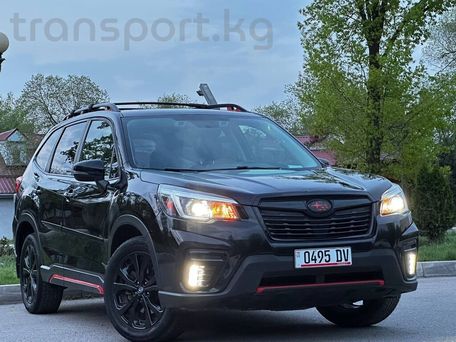 Subaru Forester, 2019 — фото 2