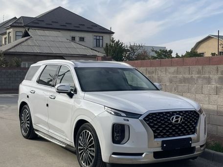 Hyundai Palisade, 2020 — 照片 1