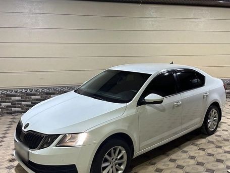 Skoda Octavia, 2019 — фото 6