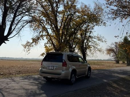 Lexus GX, 2008 — сүрөт 6